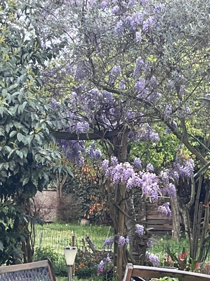 A Room And Garden Close To Paris วิทรี-ซูร์-แซน ภายนอก รูปภาพ